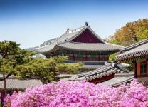 Trải nghiệm du lịch Hàn Quốc